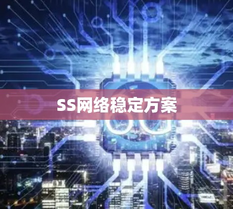 SS网络稳定方案