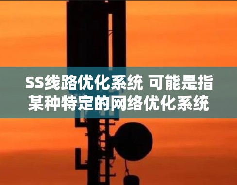 SS线路优化系统 可能是指某种特定的网络优化系统或算法,具体含义取决于上下文。以下是一些可能的解释和相关信息