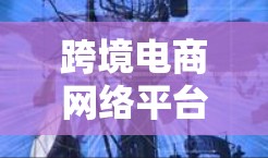 跨境电商网络平台是企业拓展国际市场的重要工具,提供多样化的服务支持,帮助企业应对跨境交易的复杂性。以下是对跨境电商网络平台的详细分析