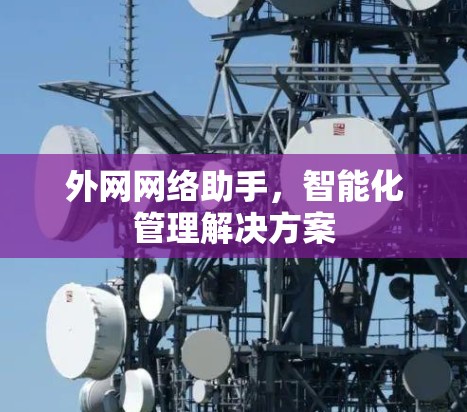 外网网络助手，智能化管理解决方案