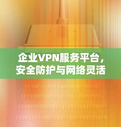 企业VPN服务平台，安全防护与网络灵活性的双重保障