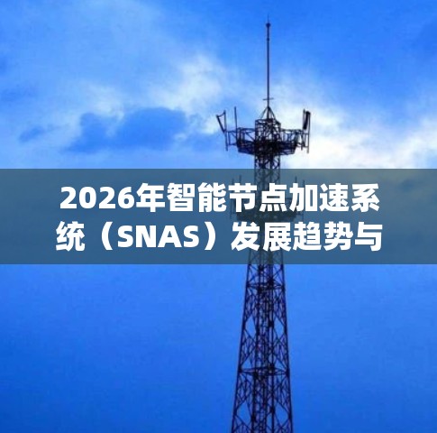2026年智能节点加速系统（SNAS）发展趋势与应用分析